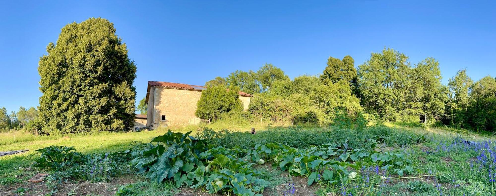 Ferme Gite Le Coeur Des Petits Chenes Saint-Pierre-de-Cole Exterior photo